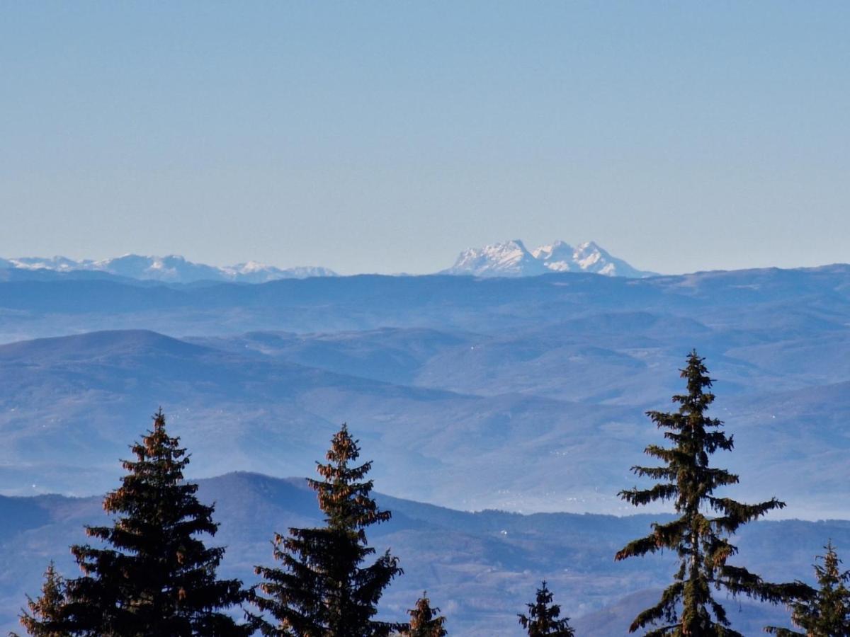 公寓 Ana - Kopaonik, Treska 科帕奥尼克